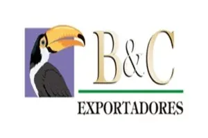 B&C